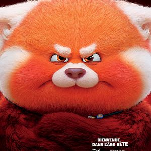 Photo Alerte rouge