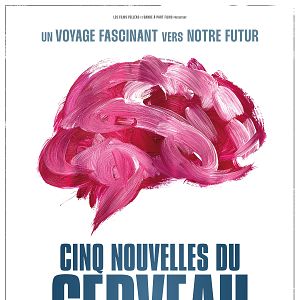 Photo The Brain - Cinq nouvelles du cerveau