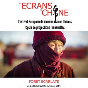 Photo Forêt écarlate