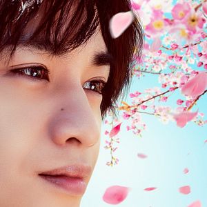 Photo Love like the falling petals
