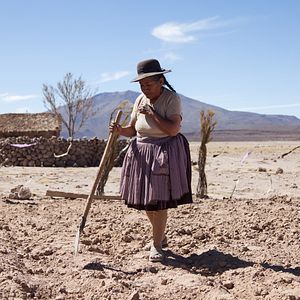 Photo Utama : La Terre Oubliée