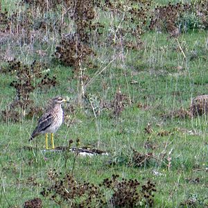 Photo Touroulis - Voyage entre le Larzac et le Causse Comtal