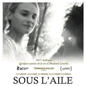 Photo Sous l'aile des anges