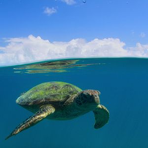Photo Parcs nationaux : Ces merveilles du monde