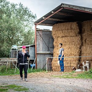 Photo Elz Carrad