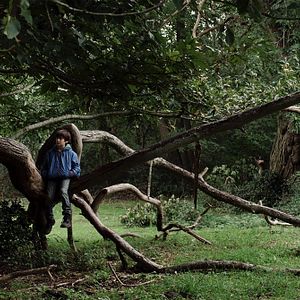 Photo Tanguy Mercier