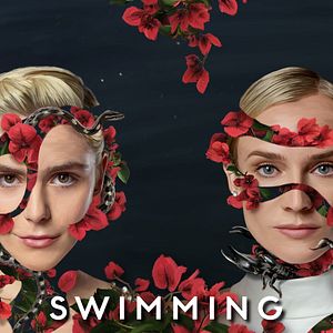 Photo Swimming With Sharks