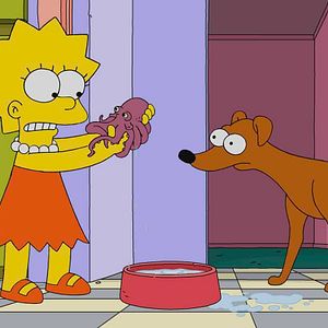 Photo Les Simpson