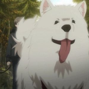 Photo Beautiful Bones - Sakurako’s Investigation