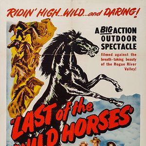 Photo Last of the Wild Horses