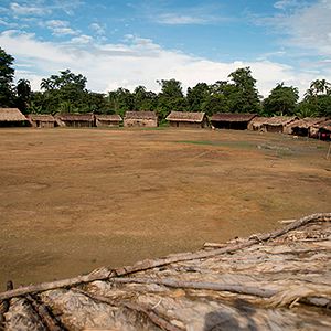 Photo Yanomami, les voix de la forêt