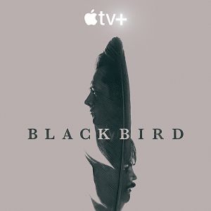 Photo Black Bird