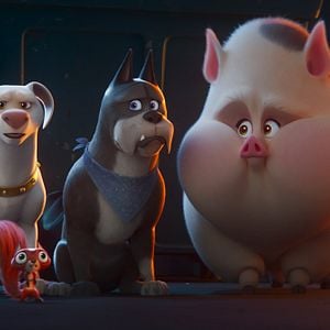 Photo Krypto et les Super-Animaux
