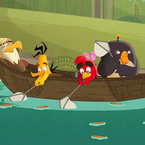 Photo Angry Birds : Un été déjanté