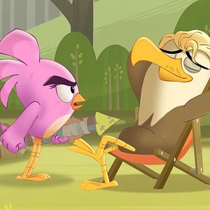 Photo Angry Birds : Un été déjanté