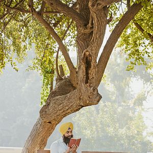Photo Laal Singh Chaddha
