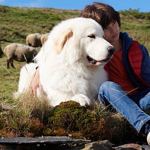 Photo Robinson Mensah-Rouanet