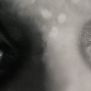 Photo Werewolf By Night (Noir & Blanc)