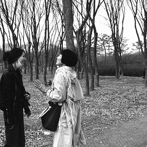 Photo La Romancière, le film et le heureux hasard