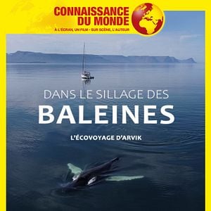 Photo Connaissance du monde : Dans le sillage des baleines