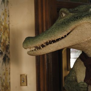 Photo Enzo le Croco