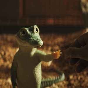 Photo Enzo le Croco