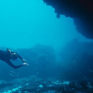 Photo Blueback – une amitié sous-marine