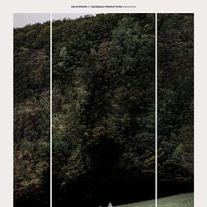 Photo Le Coeur noir des forêts
