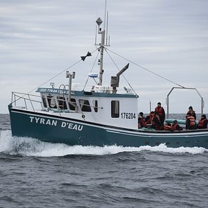 Photo Au revoir le bonheur