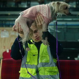 Photo Valter Skarsgård