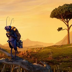 Photo Pinocchio par Guillermo del Toro