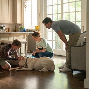 Photo Johnny Berchtold