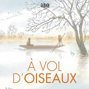 Photo A vol d'oiseaux