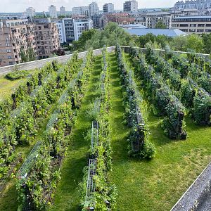 Photo La Belle ville