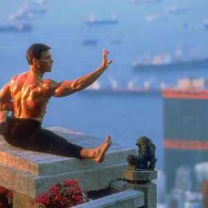 Photo Jean-Claude Van Damme