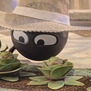 Photo L'île des Formes