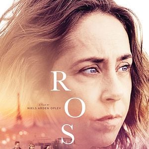 Photo Rose