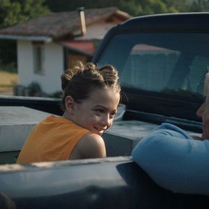 Photo 20 000 espèces d'abeilles