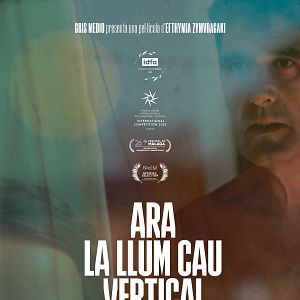 Photo Ara la llum cau vertical