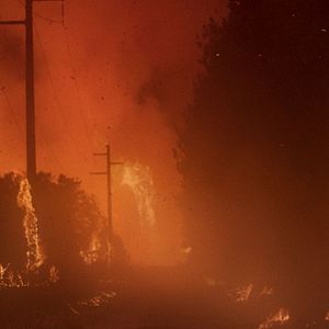 Photo En plein feu