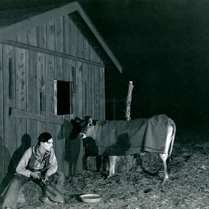 Photo Ma vache et moi