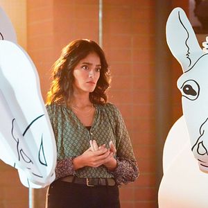 Photo Mandeep Dhillon