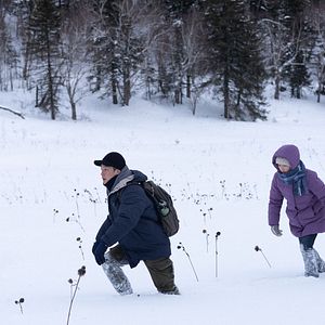 Photo Un hiver à Yanji