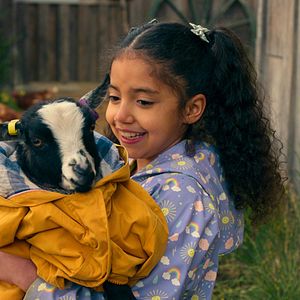 Photo La petite ferme enchantée
