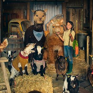 Photo La petite ferme enchantée