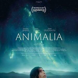 Photo Animalia