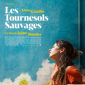 Photo Les Tournesols sauvages