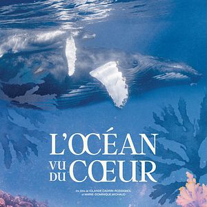 Photo L'Océan vu du cœur