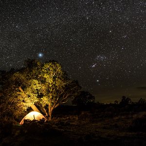 Photo La Voix des Amériques, une aventure au cœur de l’humanité