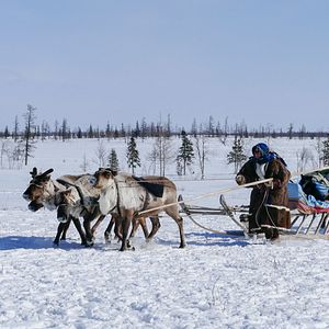 Photo Altaïr Conférences - Peuples du froid : Sibérie, Mongolie, Himalaya